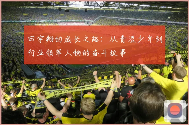 田宇翔的成长之路：从青涩少年到行业领军人物的奋斗故事