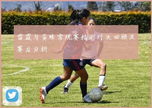 雷霆与黄蜂常规赛精彩对决回顾及赛后分析